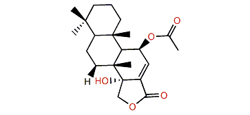 Dorisenone B
